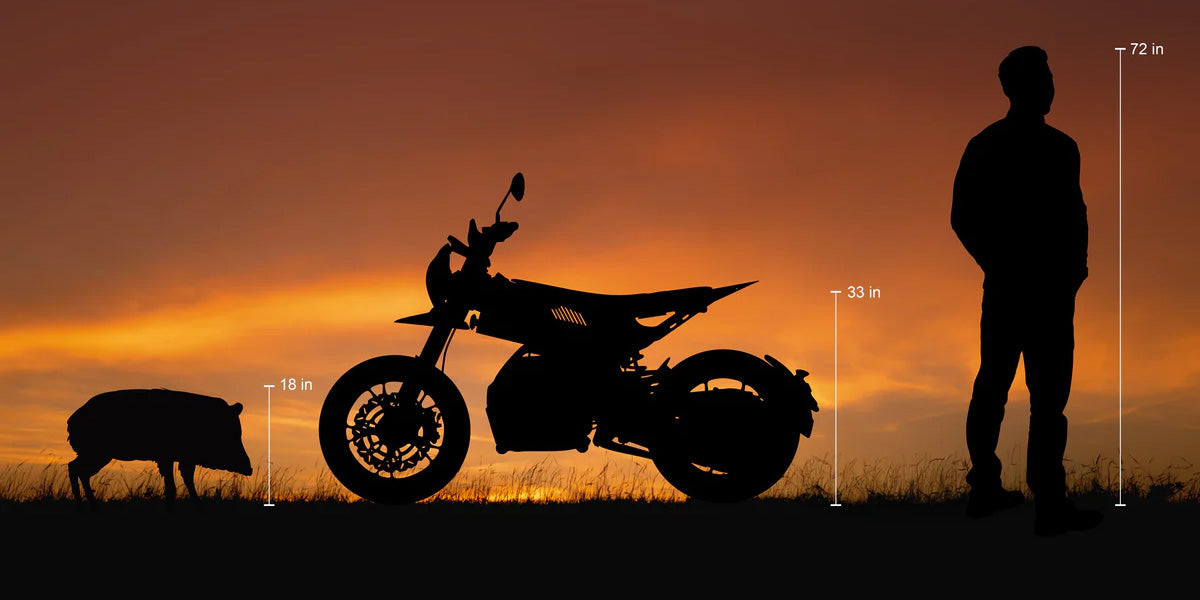 Is the Ryvid OUTSET the Right Size for You? Let's Find Out